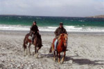 Equestrian Break
