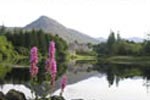 December & January Midweek 3 Night Break