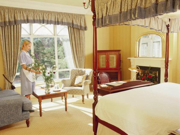 Luxury Room